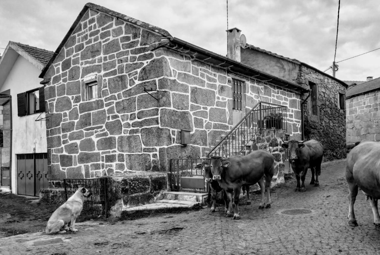 Villa Pé na Aldeia Outeiro  Esterno foto